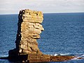 Linney Head