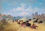 Comanches chassant le bison, par George Catlin.