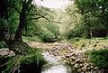 A view of the National Park of Abruzzo, Lazio and Molise