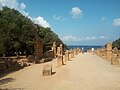 Ruines Romaines Tipaza.