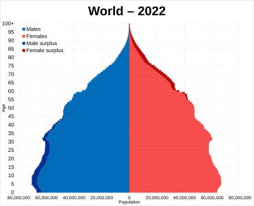 פירמידת גילים של אוכלוסיית העולם בשנת 2022