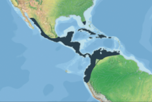 Distribution range of C. acutus (green = terrestrial range; horizontal lines = marine range).