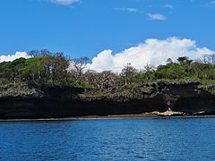 Une grande partie de la côte repose sur un récif de corail fossile du Pléistocène, parfois visible comme ici à Wasini.