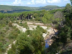 Rivière l'Endre.