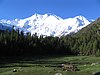 Nanga Parbat