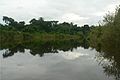 Ibaré River, Beni