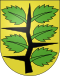 Coat of arms of Wachseldorn