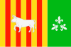 Flag of Les Borges Blanques