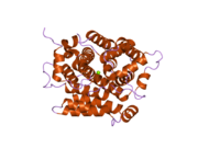 2foz: human ADP-ribosylhydrolase 3