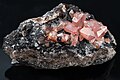 Image 11Rhodochrosite, by JJ Harrison (from Wikipedia:Featured pictures/Sciences/Geology)
