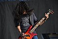 Mike Inez Bajo, coros