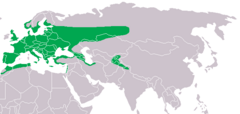 Mapa de distribuição da coruja-do-mato-europeia