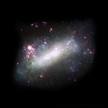 不規則銀河大マゼラン雲。棒状構造の左上の赤く明るい部分が大質量星生成領域 30 Dor。