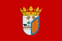 Salamanca - Bandera