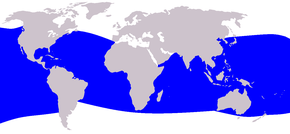 Description de l'image Cetacea_range_map_Dwarf_Sperm_Whale.png.