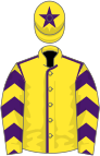 Yellow, purple seams, chevrons on sleeves, star on cap