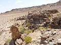 Ruins at Qa'ableh, Sanaag, Somaliland