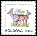 Почтовая марка с изображением косуль