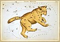 Lymnans a Ursa Major war garten dhyworth 1825