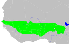 Zahodni Sudan