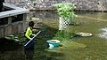 A Worker is cleaning pool at Kowloon Park.jpg