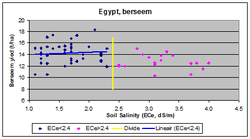 Fig. 1. Berseem (clover), cultivated in Egypt's Nile Delta, is a salt-sensitive crop and tolerates an ECe value up to 2.4 dS/m, whereafter yields start to decline.
