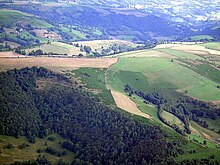 Paysage avec champs et forêts