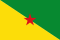 Drapeau du Conseil général de Guyane (Département d'outre-mer de la France)