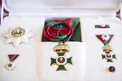 Male insignia of the order