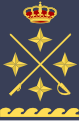 General del aire (Spanish Air and Space Force)