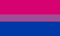 The bisexual pride flag, a simple horizontal triband.