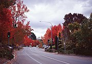 The town of Stirling, South Australia, located in the Adelaide Hills, attracts many tourists during autumn.