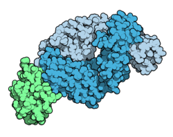 Tralokinumab