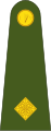 Second-lieutenant (Irish: Dara-lefteanant) (Irish Army)[21]