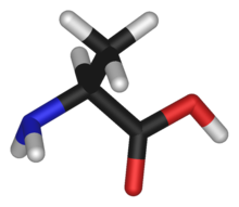 Alanina conține o grupare amino grefată pe un schelet de acid propanoic