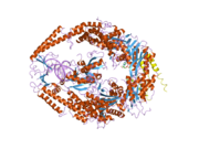 2o8d: MutSalpha humano (MSH2/MSH6) unido ao ADP e apareamento incorrecto G dU