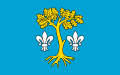 Flaga gminy Dębowiec