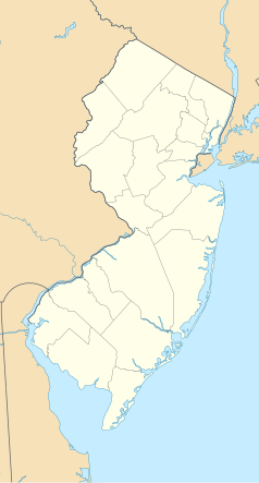 Mapa konturowa New Jersey, po prawej nieco u góry znajduje się punkt z opisem „EWR”