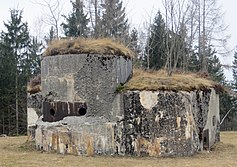 photo of a small bunker in the woods
