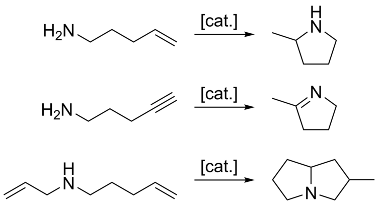 Examples of intramolecular hydroamination.