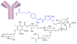Inotuzumab-Ozogamicin