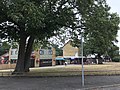 The Apple Tree pub, with Broom Road shops