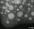 Жидкие (нехарактерные) и кристаллические твёрдые наночастицы Xe, полученные имплантацией ионов Xe+ в алюминий при комнатной температуре.