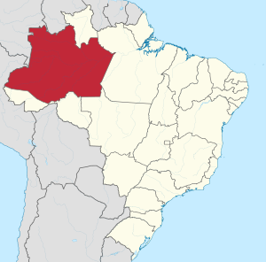 Localização do Amazonas no Brasil