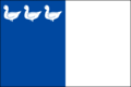 پرچم Thuin