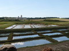 Marais salant à Mornac-sur-Seudre.