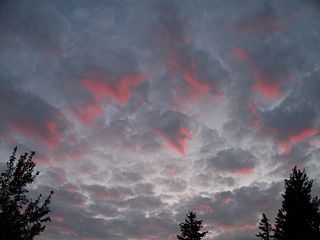 Hoàng hôn phản chiếu sắc thái màu hồng lên mây tầng mây tích tầng trong mờ (stratocumulus stratiformis Translucidus) xám (trở thành perlucidus (trong suốt) trong nền)