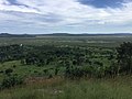 Wetlands after heavy rain