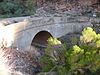 Alchesay Canyon Bridge