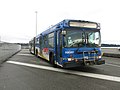 An older low-floor articulated bus